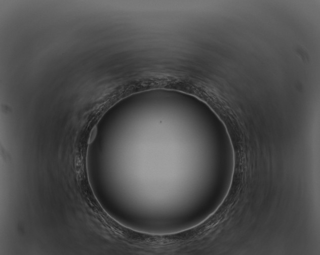 X0000091001109200708021554