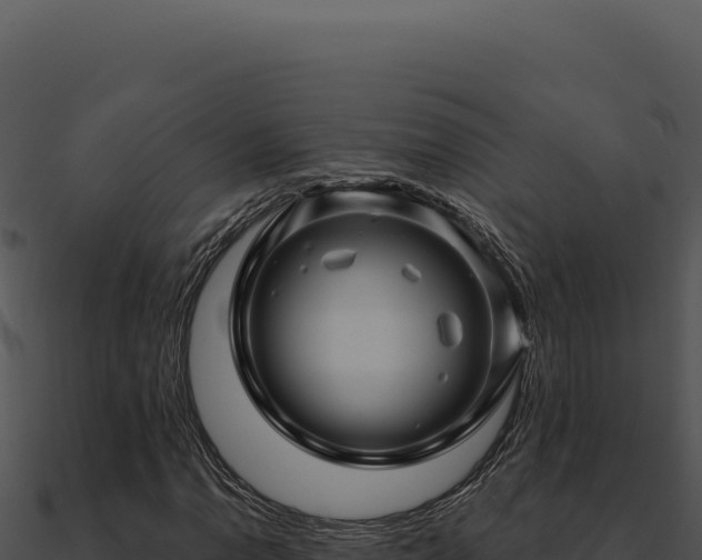 X0000091001110200708021554