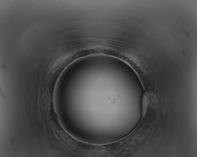 X0000091001111200708021554