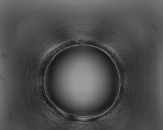 X0000091001112200708021554