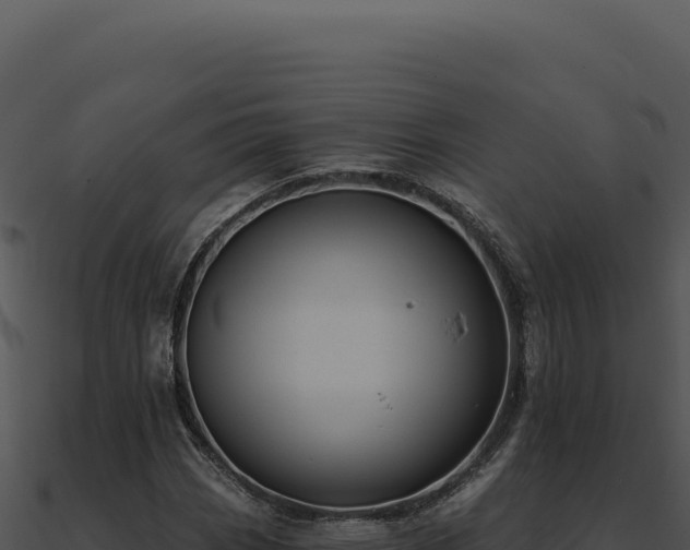 X0000091001113200708021554