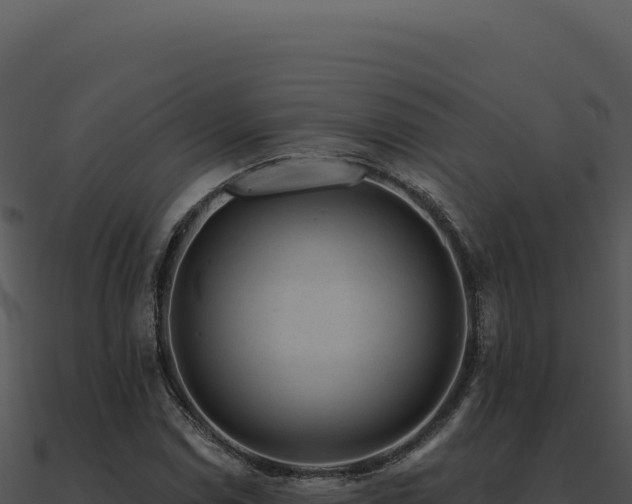 X0000091001114200708021554