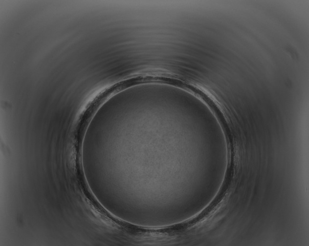 X0000091001115200708021554