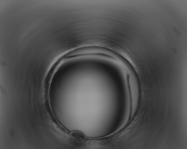 X0000091001116200708021554