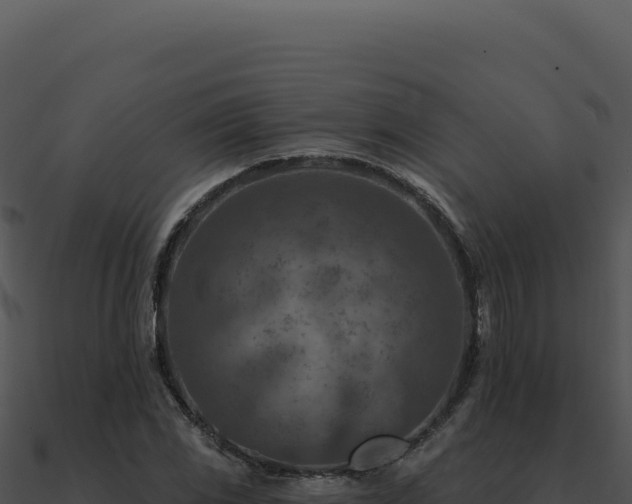 X0000091001117200708021554