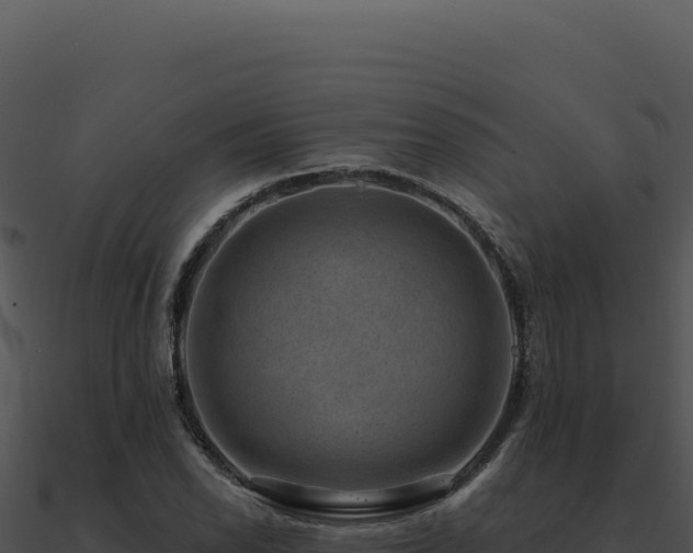 X0000091001118200708021554