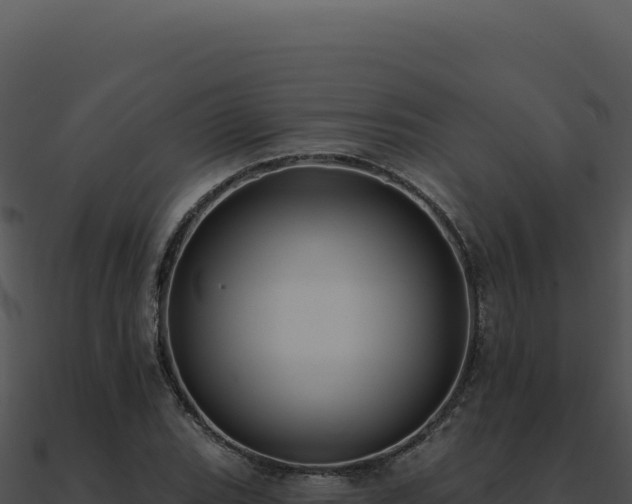 X0000091001119200708021554