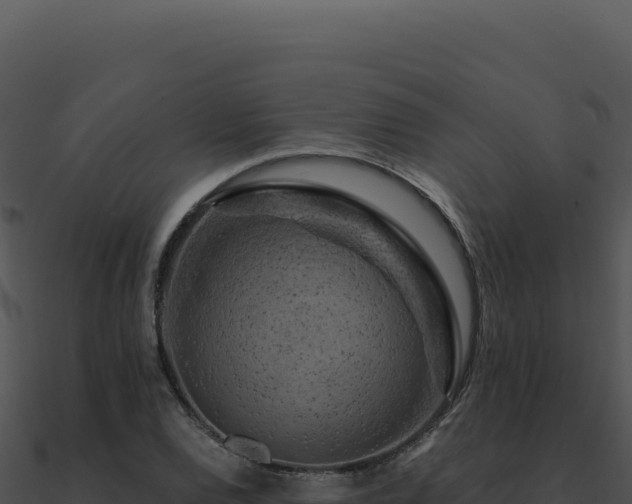 X0000091001120200708021554