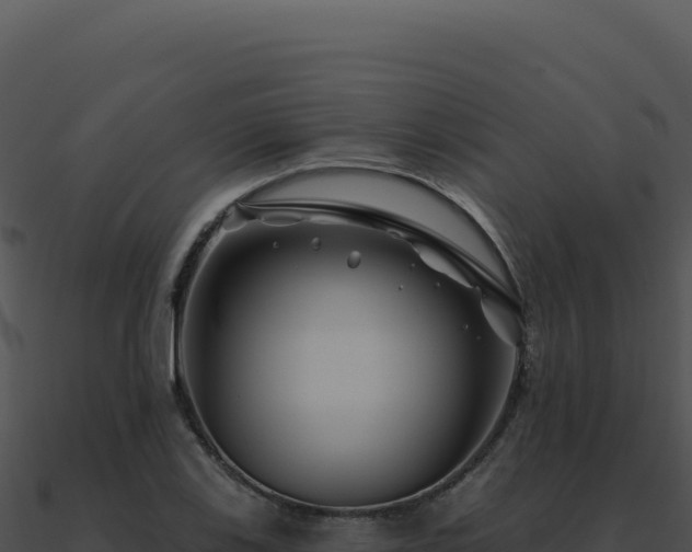 X0000091001123200708021555