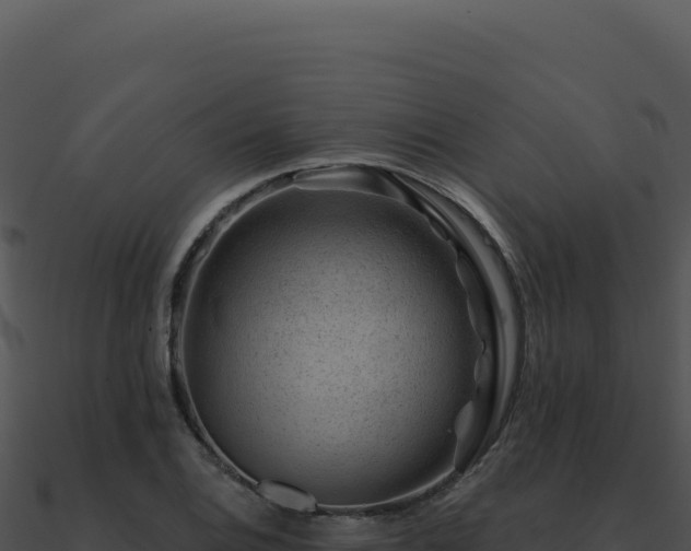 X0000091001124200708021555