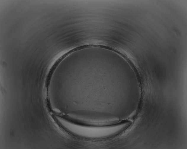 X0000091001125200708021555