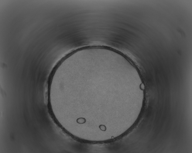 X0000091001126200708021555