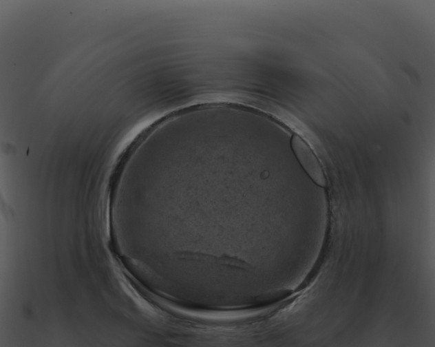 X0000091001127200708021555