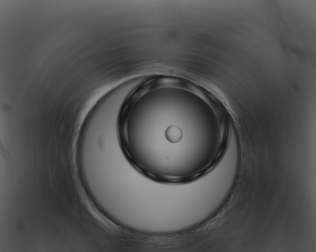 X0000091001128200708021555