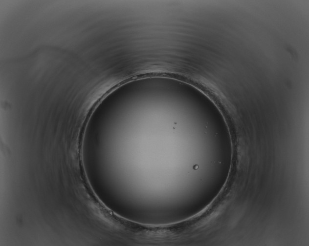 X0000091001129200708021555
