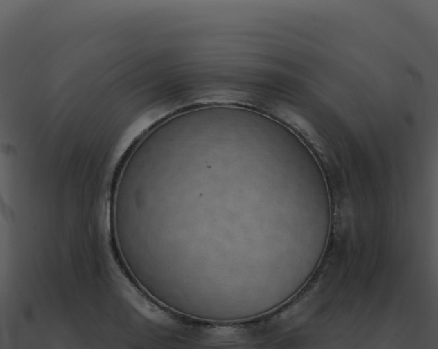 X0000091001130200708021555