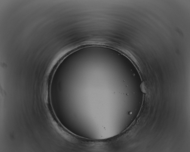 X0000091001131200708021555