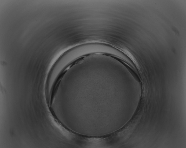 X0000091001132200708021555