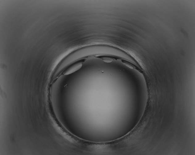 X0000091001134200708021555