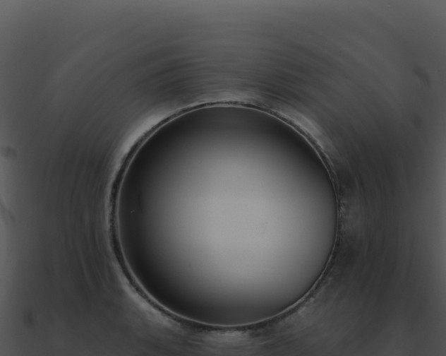 X0000091001135200708021555