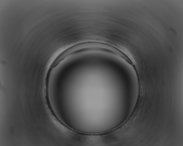 X0000091001136200708021555
