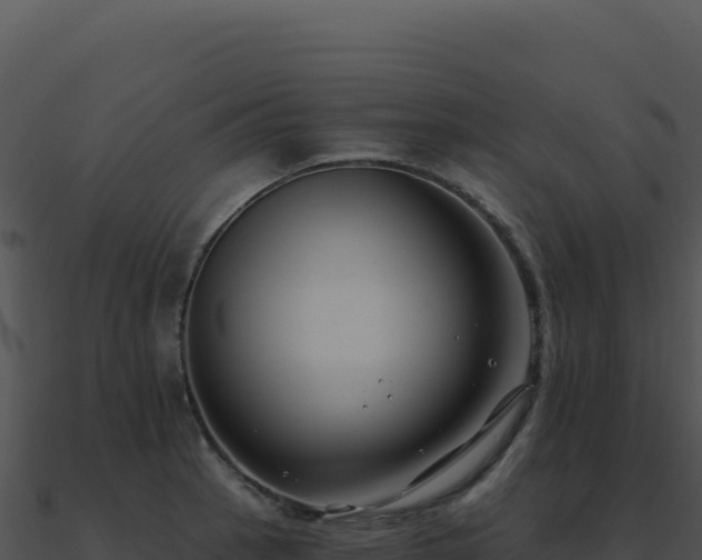X0000091001137200708021555