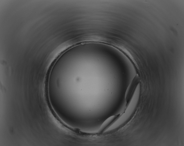 X0000091001139200708021555
