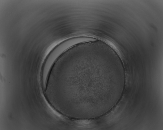 X0000091001141200708021555