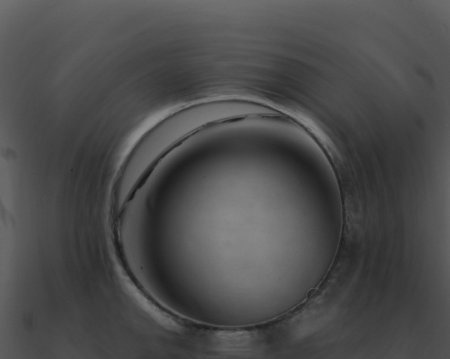X0000091001142200708021555