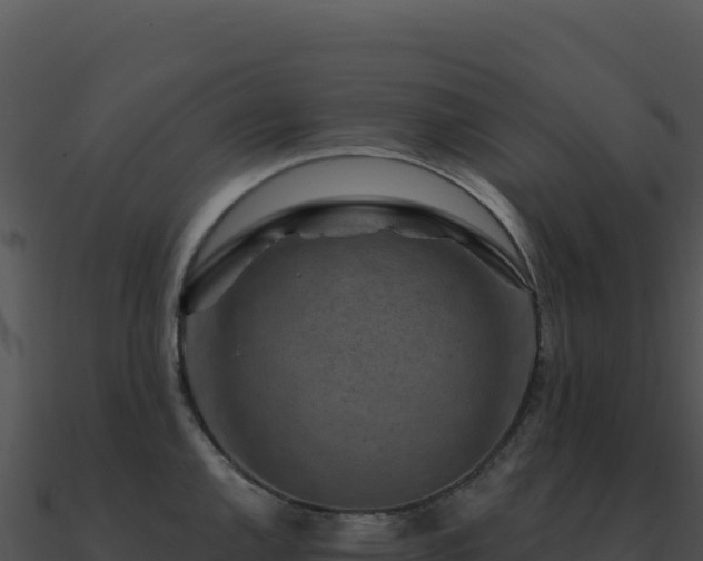 X0000091001144200708021555