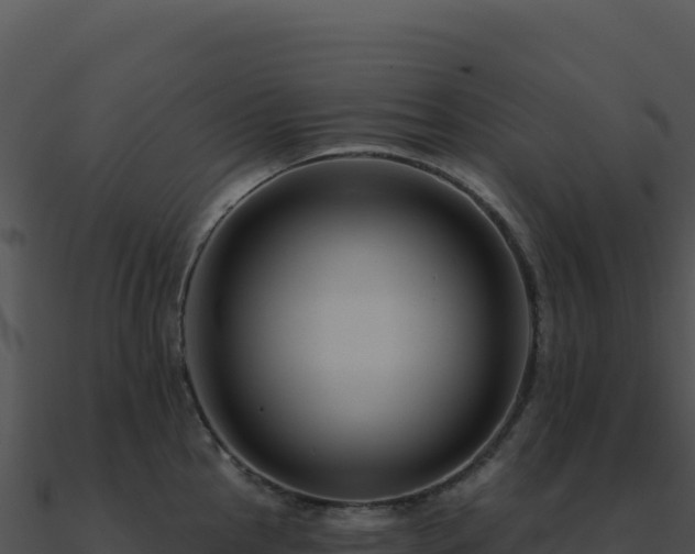 X0000091001145200708021555