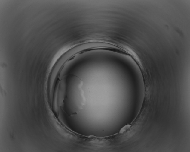 X0000091001146200708021555