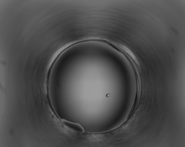 X0000091001148200708021555