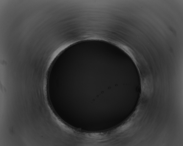 X0000091001149200708021555