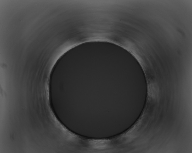 X0000091001150200708021555