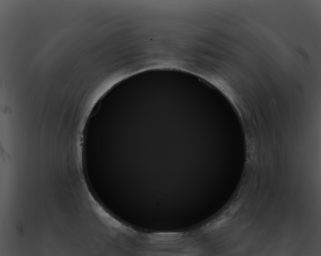X0000091001151200708021555