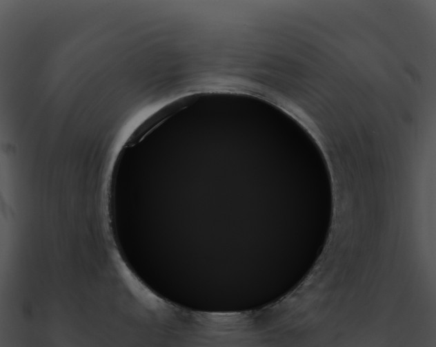 X0000091001152200708021555