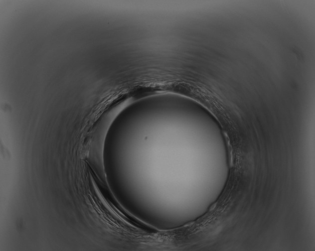 X0000091001153200708021554