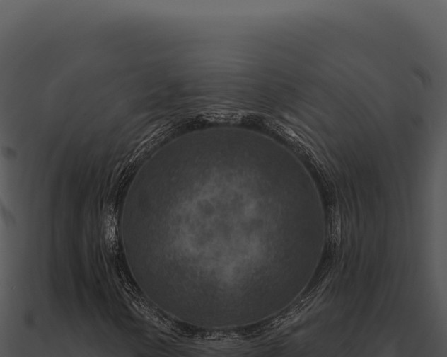 X0000091001154200708021554