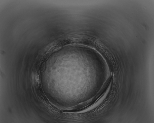 X0000091001155200708021554
