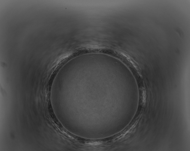 X0000091001157200708021554