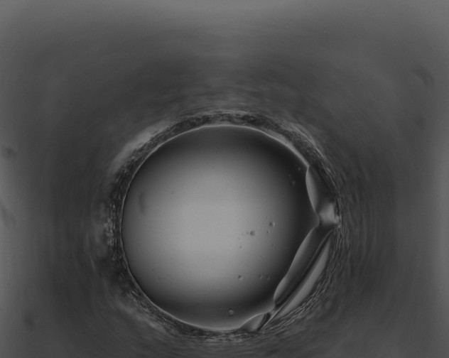 X0000091001159200708021554