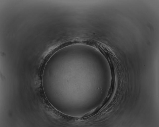X0000091001160200708021554