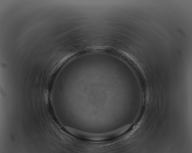 X0000091001161200708021554