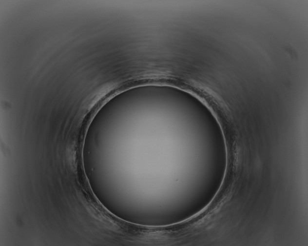 X0000091001162200708021554