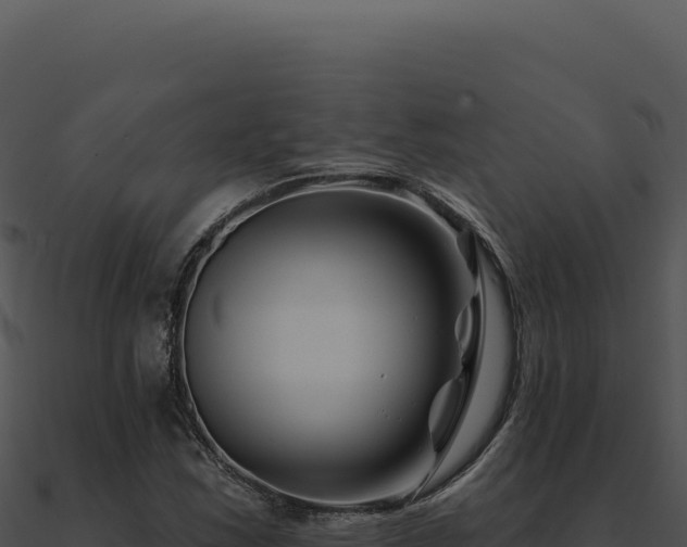 X0000091001163200708021554