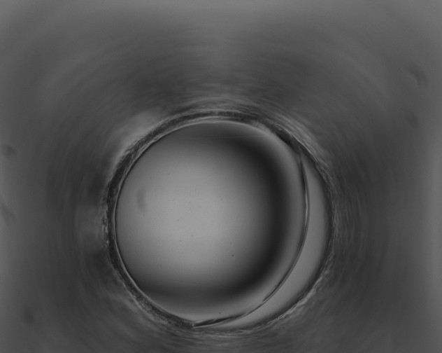 X0000091001164200708021554