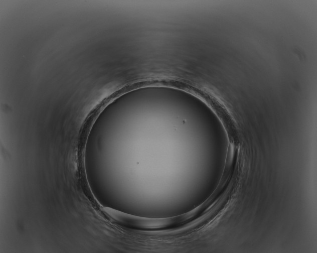 X0000091001165200708021554