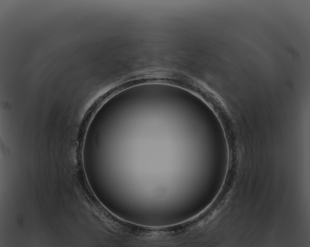 X0000091001166200708021554