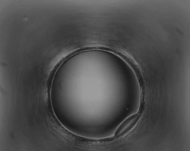 X0000091001167200708021554